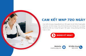 cam ket mnp 720 ngay