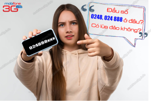 dau so 0248 024888 co lua dao khong