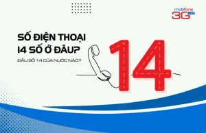 Dau so 14 cua nuoc nao