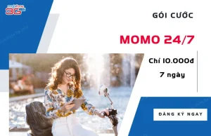 goi data momo 247 la gi?