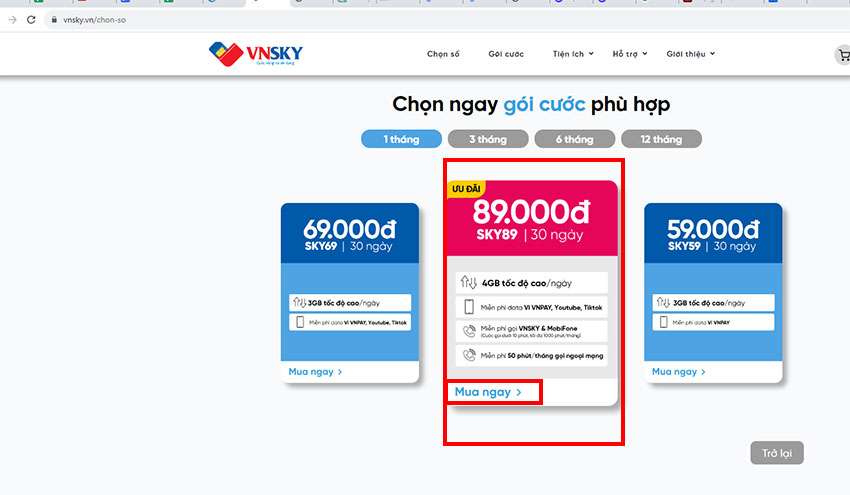 sim vnsky la gi?
