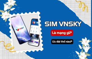 sim vnsky la gi?