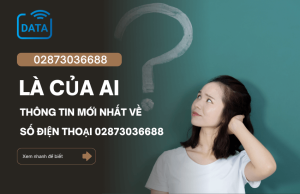 so dien thoai 02873036688 cua ai