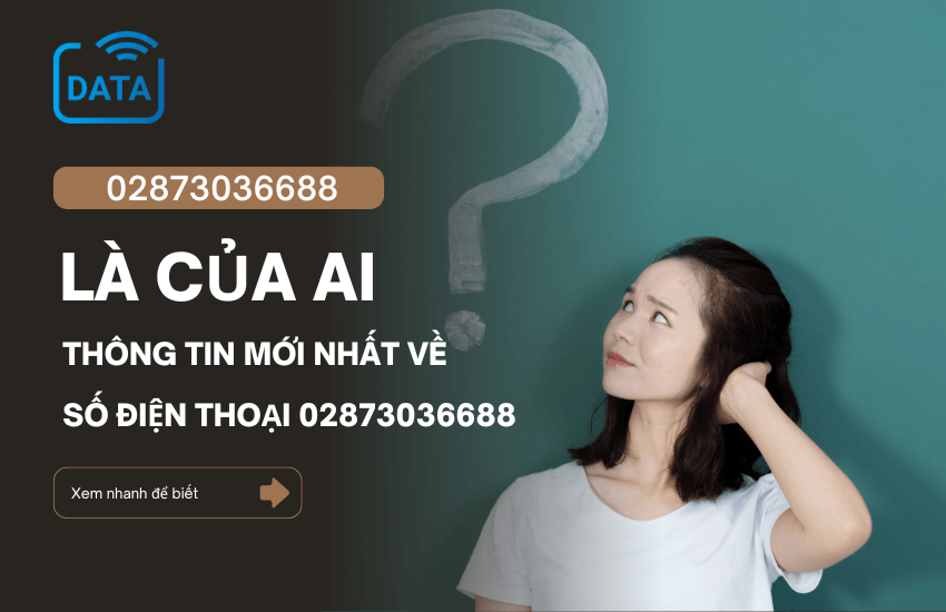 Chủ số điện thoại 02873036688 là ai? Có phải hotline VPBank?