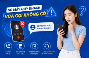 so may quy khach vua goi khong co