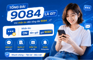 tong dai 9084 la gi