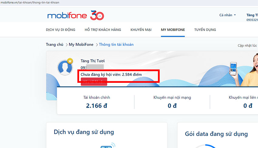 tra cuu diem ket noi dai lau mobifone